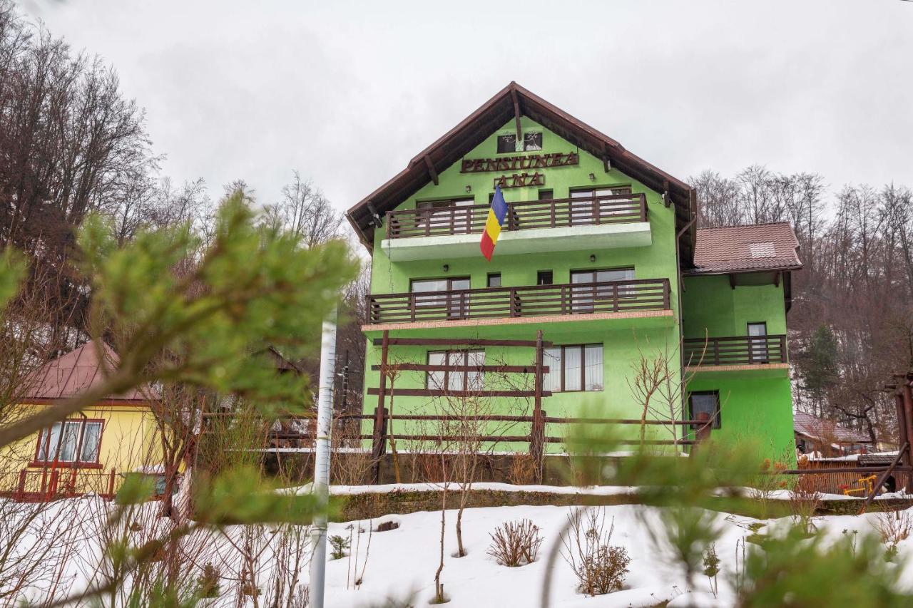 Pensiunea Ana Cavnic Exterior photo